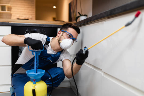 Best Residential Pest Control  in Ocean City, FL