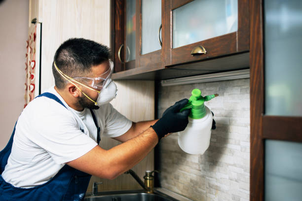 Best Wildlife Control Services  in Ocean City, FL