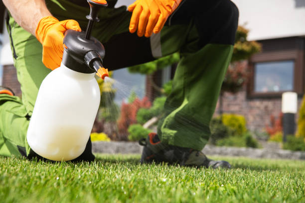 Best Mosquito Control Services  in Ocean City, FL