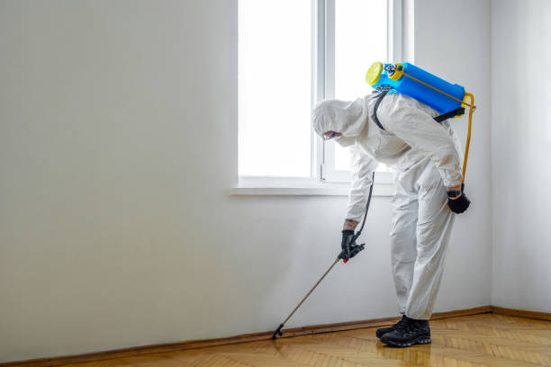 Best Emergency Pest Control  in Ocean City, FL