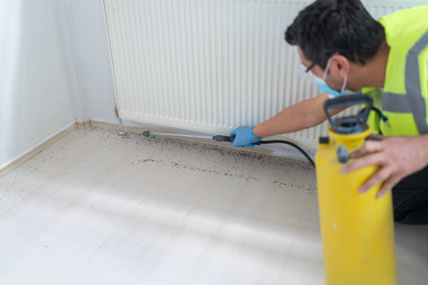 Trusted Ocean City, FL Pest Control Experts